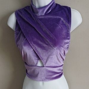 Wet Seal Purple Velvet Crop Top